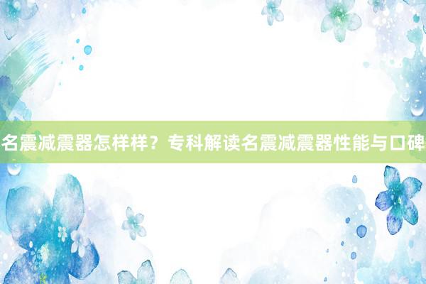 名震减震器怎样样？专科解读名震减震器性能与口碑