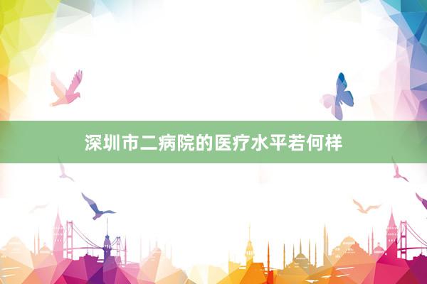 深圳市二病院的医疗水平若何样